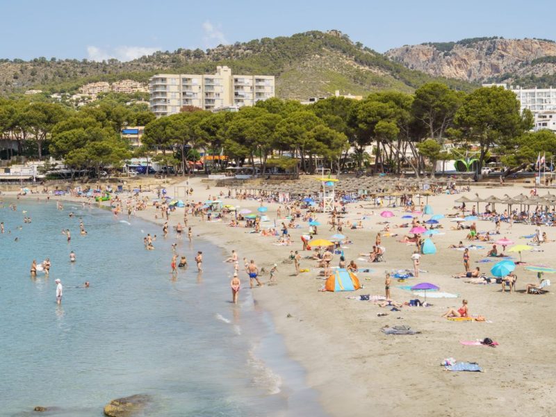 Mallorca: Urlauber finden gigantischen Meeresbewohner am Strand und können ihren Augen nicht trauen.