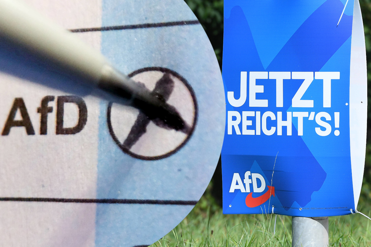 Wer würde sein Kreuz bei der AfD machen?