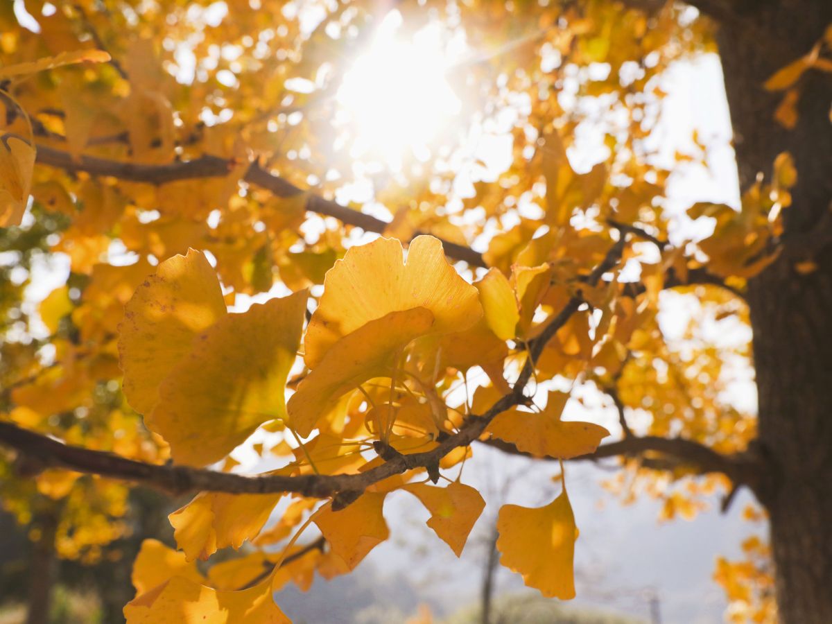 Wetter in NRW: Experte klärt auf