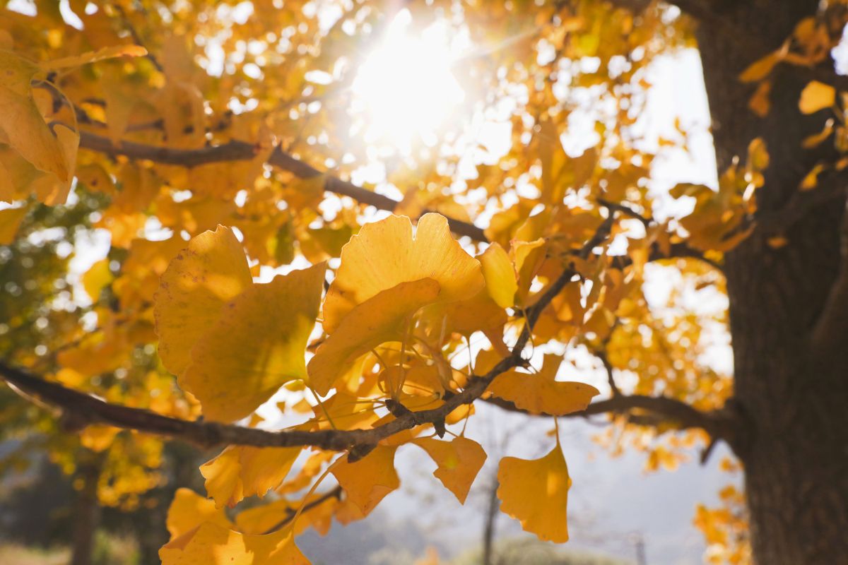 Wetter in NRW: Experte klärt auf