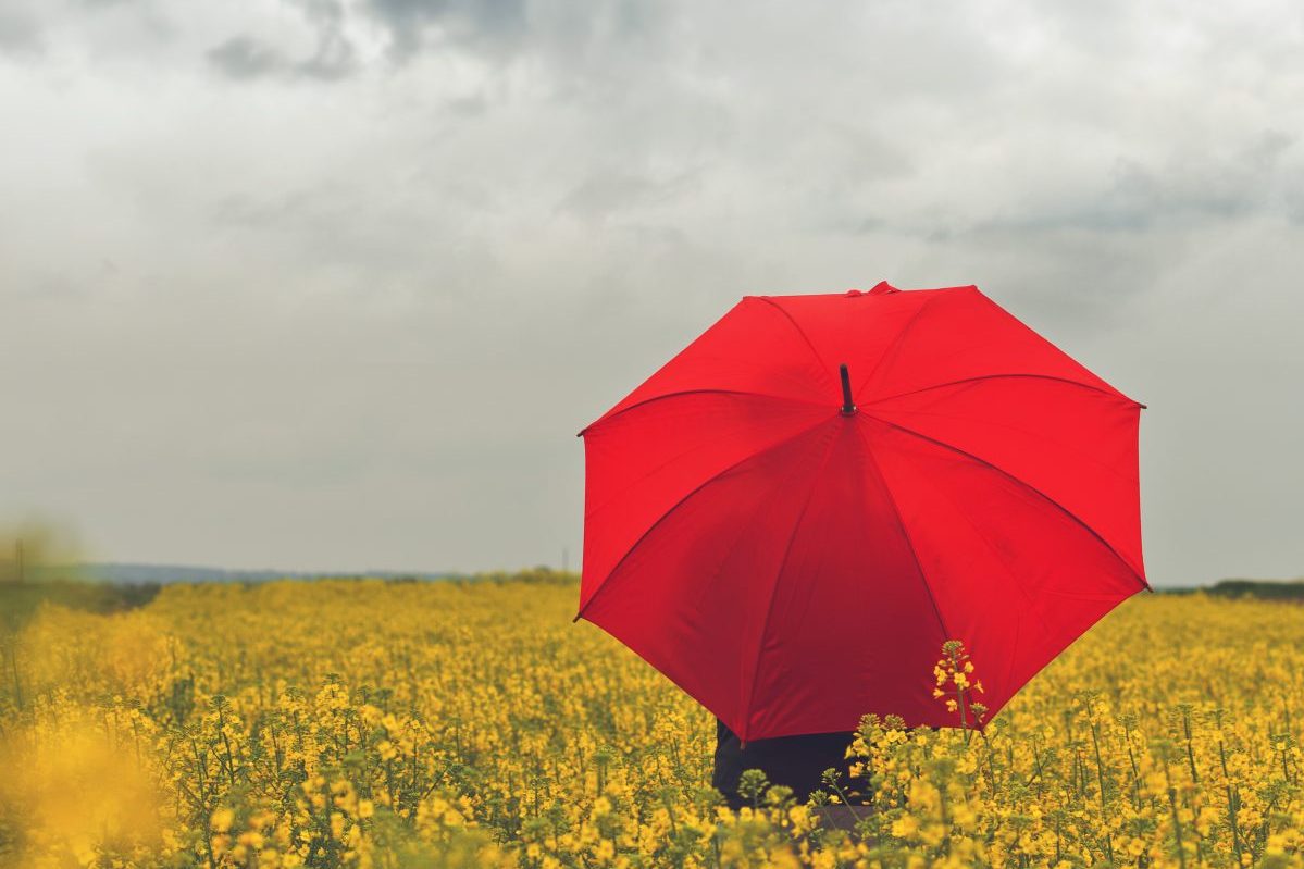 Person mit rotem Regenschirm auf gelbem Feld und grauem Himmel im Hintergrund