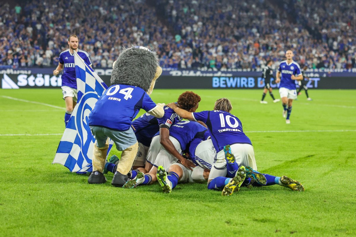 Schalke - Magdeburg