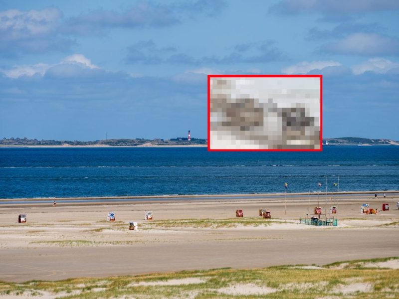 urlaub nordsee