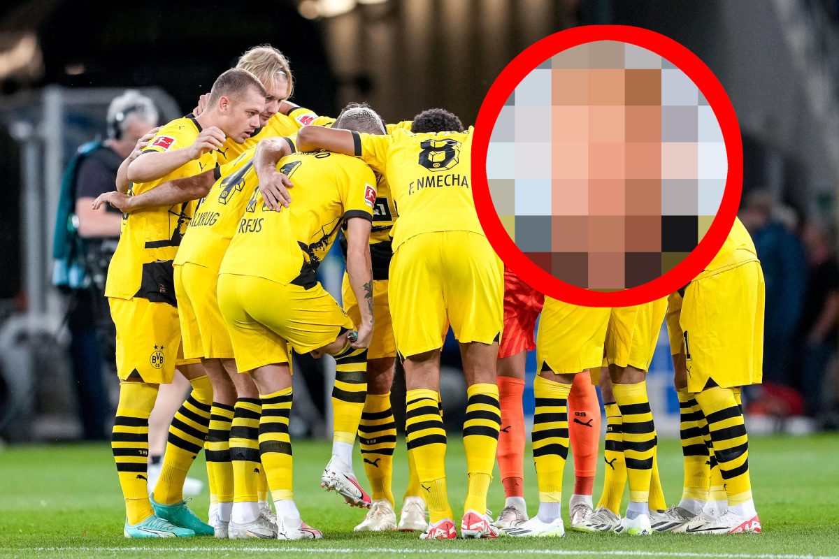 TSG Hoffenheim Borussia Dortmund