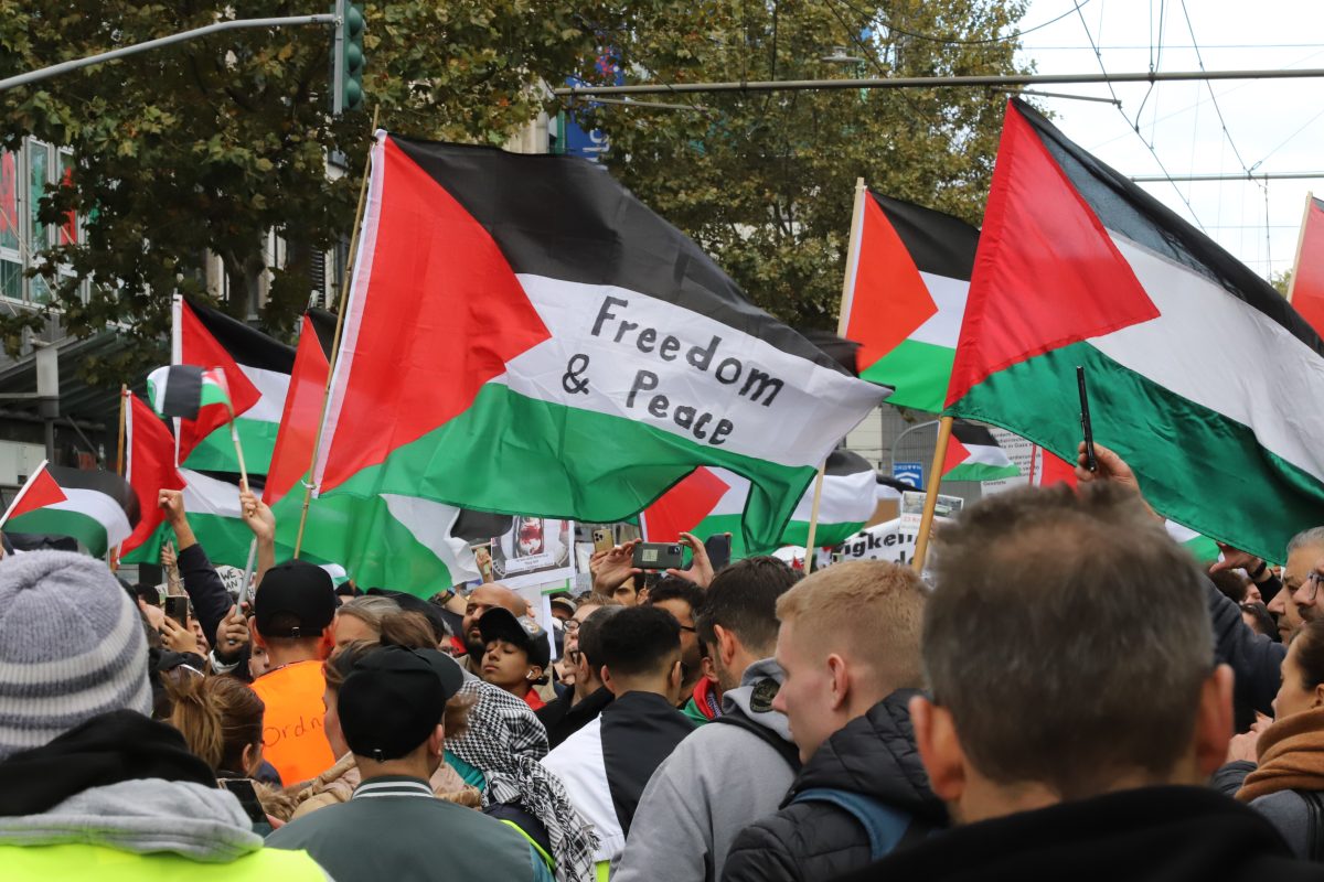 Demonstranten in Düsseldorf, NRW