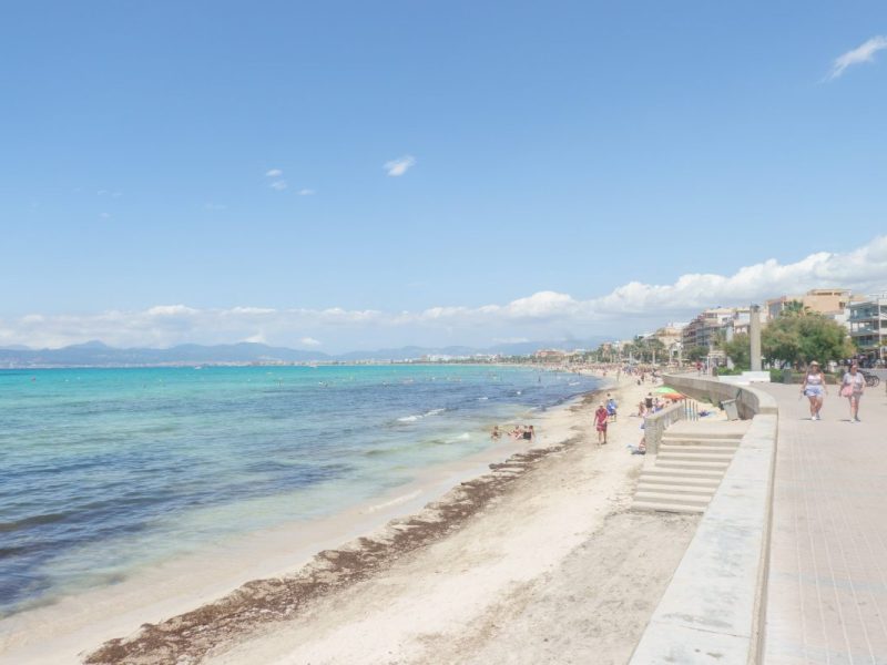 Urlaub auf Mallorca: Reisende müssen mit Plage rechnen.