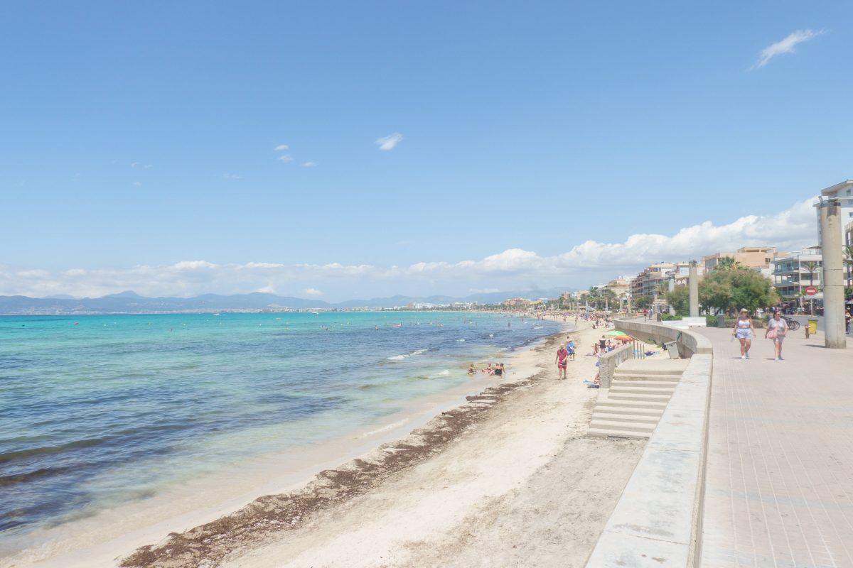 Urlaub auf Mallorca: Reisende müssen mit Plage rechnen.