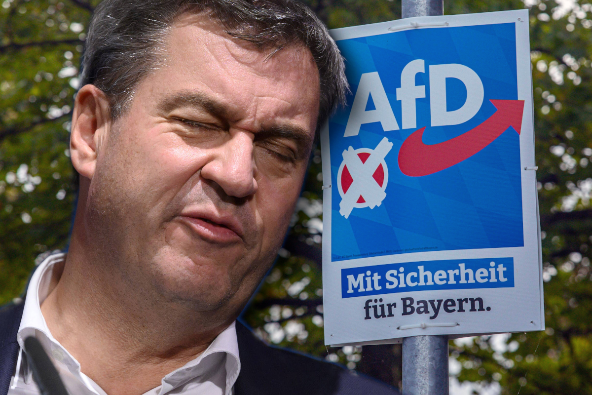 Söder, AfD, Landtagswahl