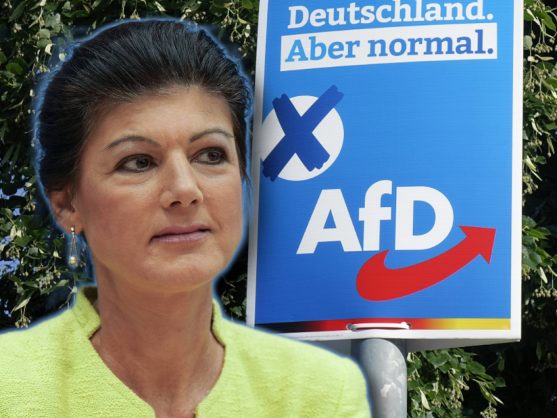 Wagenknecht und die AfD: Ein Bündnis der Zukunft?