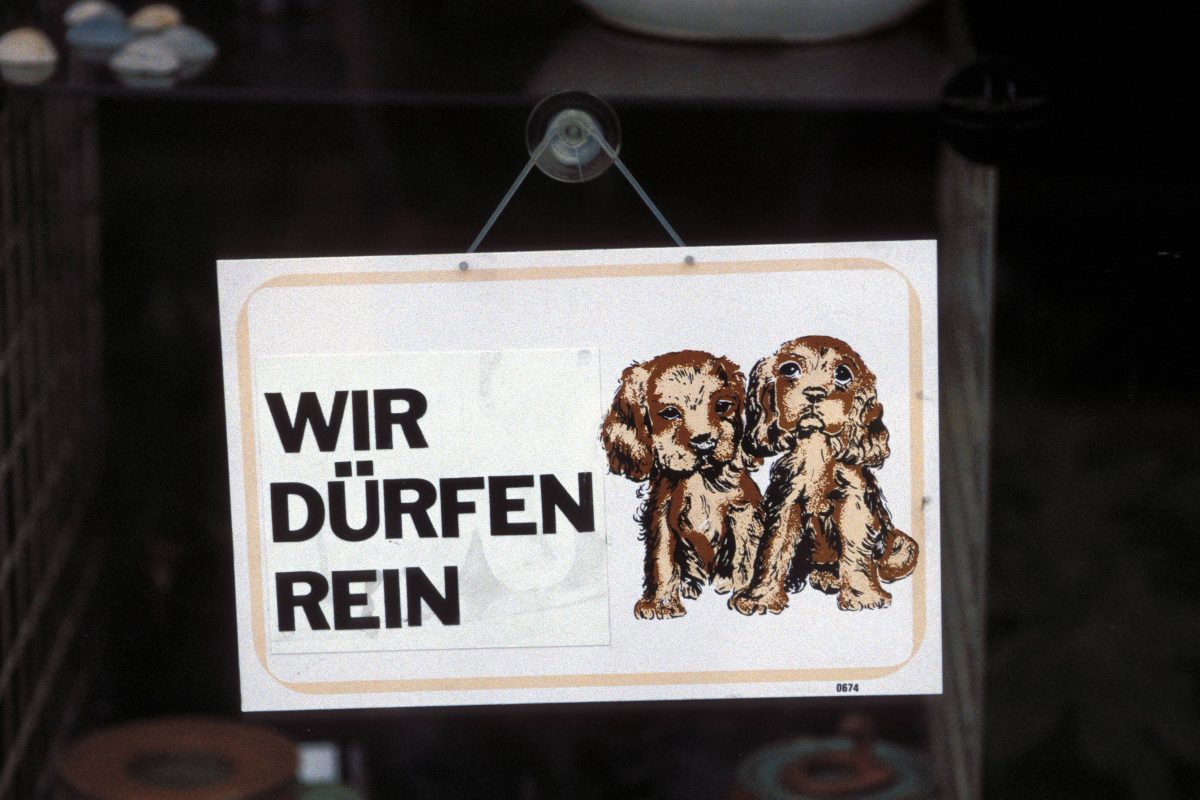 Ein Schild vor einem Laden mit der Aufschrift "Wir dürfen rein".