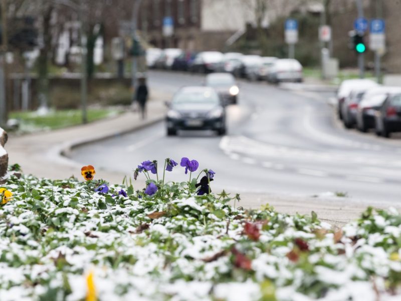 Wetter in NRW: Experte mit eindeutiger Winter-Prognose – „Es ist ziemlich viel“