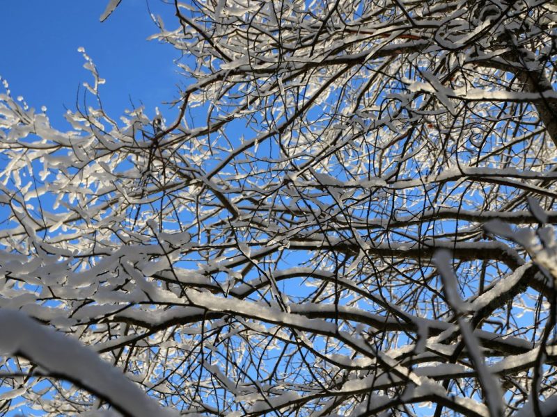 Wetter NRW: Kommt jetzt die Schnee-Peitsche? „Kälte-Orgasmus“