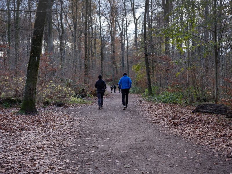 Mülheim: Mann läuft durch den Wald – kaum zu fassen, worüber er stolpert