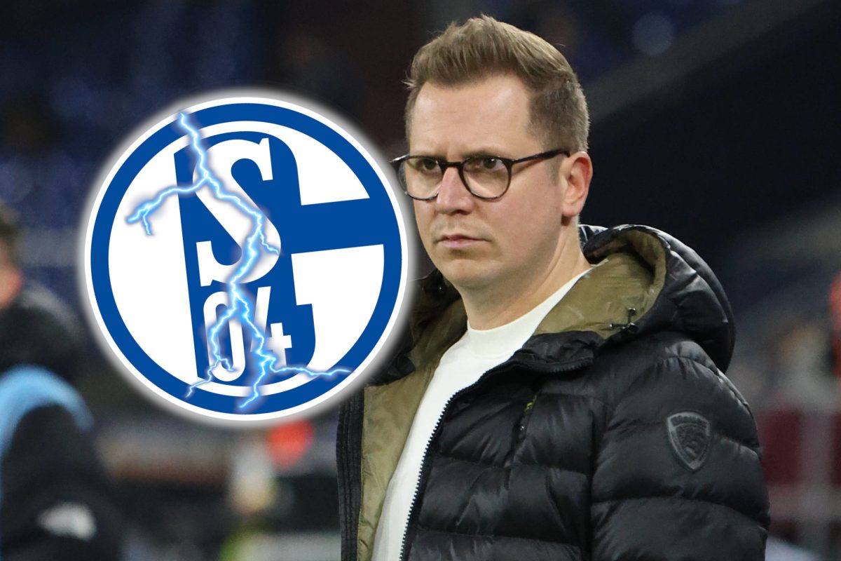FC Schalke 04: Andre Hechelmann ist stinksauer.