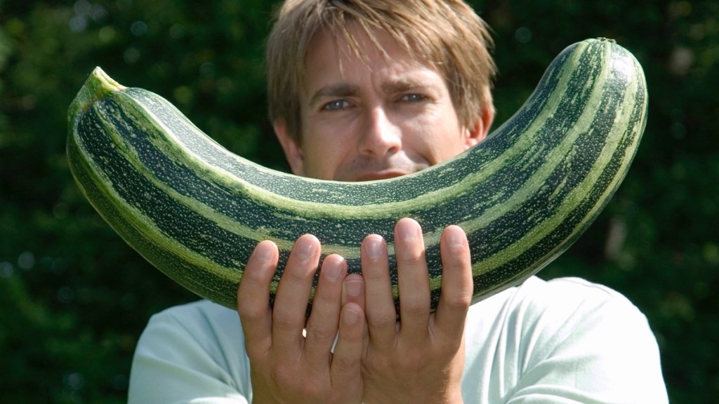 Ein Mann hält eine große Zucchini vor sich.