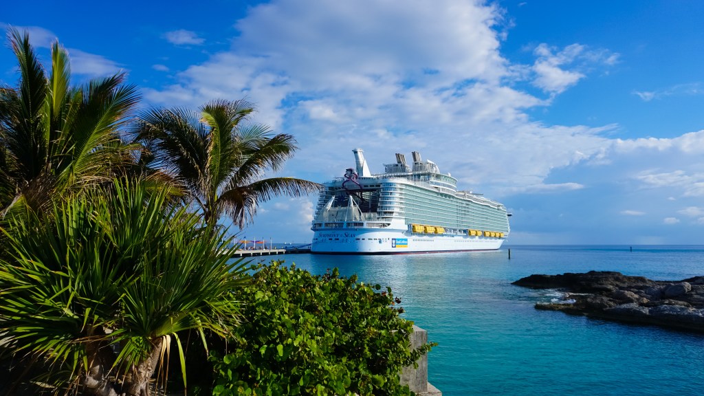 Ein Kreuzfahrtschiff hinter Palmen bei sonnigem Himmel.