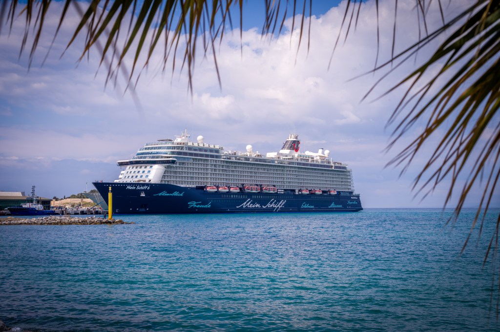 Ein Kreuzfahrtschiff hinter Palmenblättern.