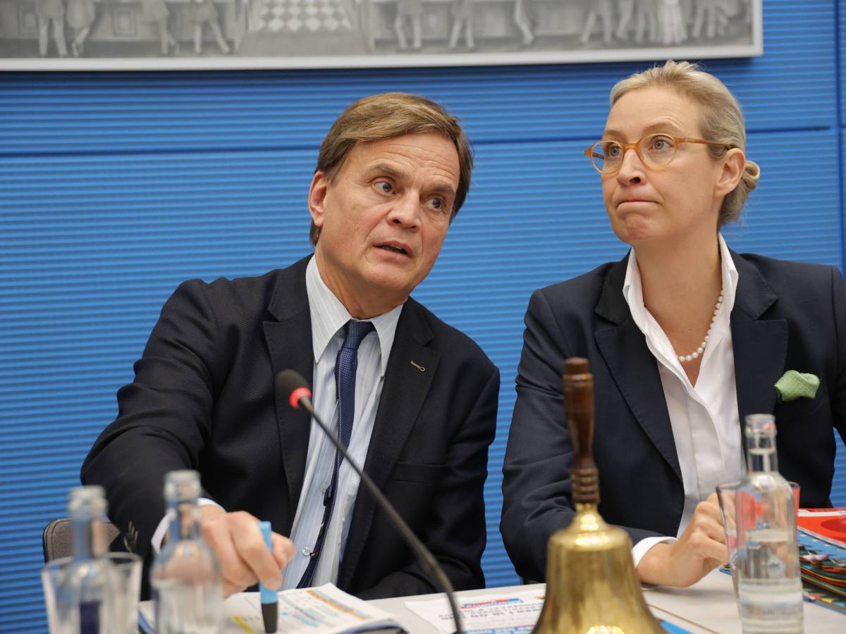 Bernd Baumann und Alice Weidel