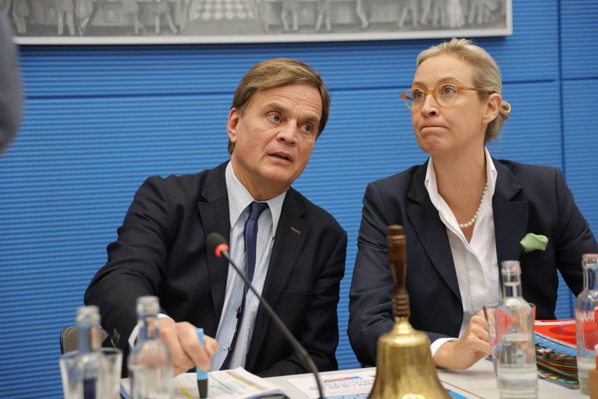 Bernd Baumann und Alice Weidel