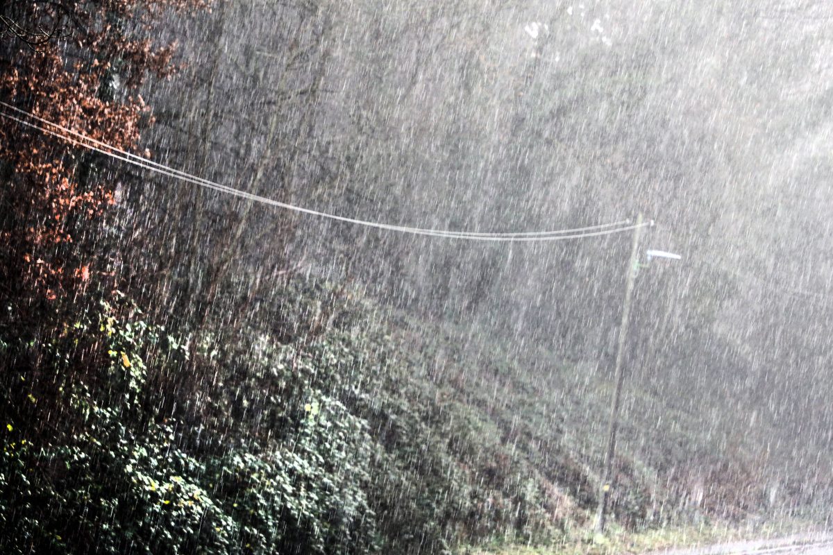 Das Wetter in NRW wird Ã¼ber die Feiertage mild und nass.