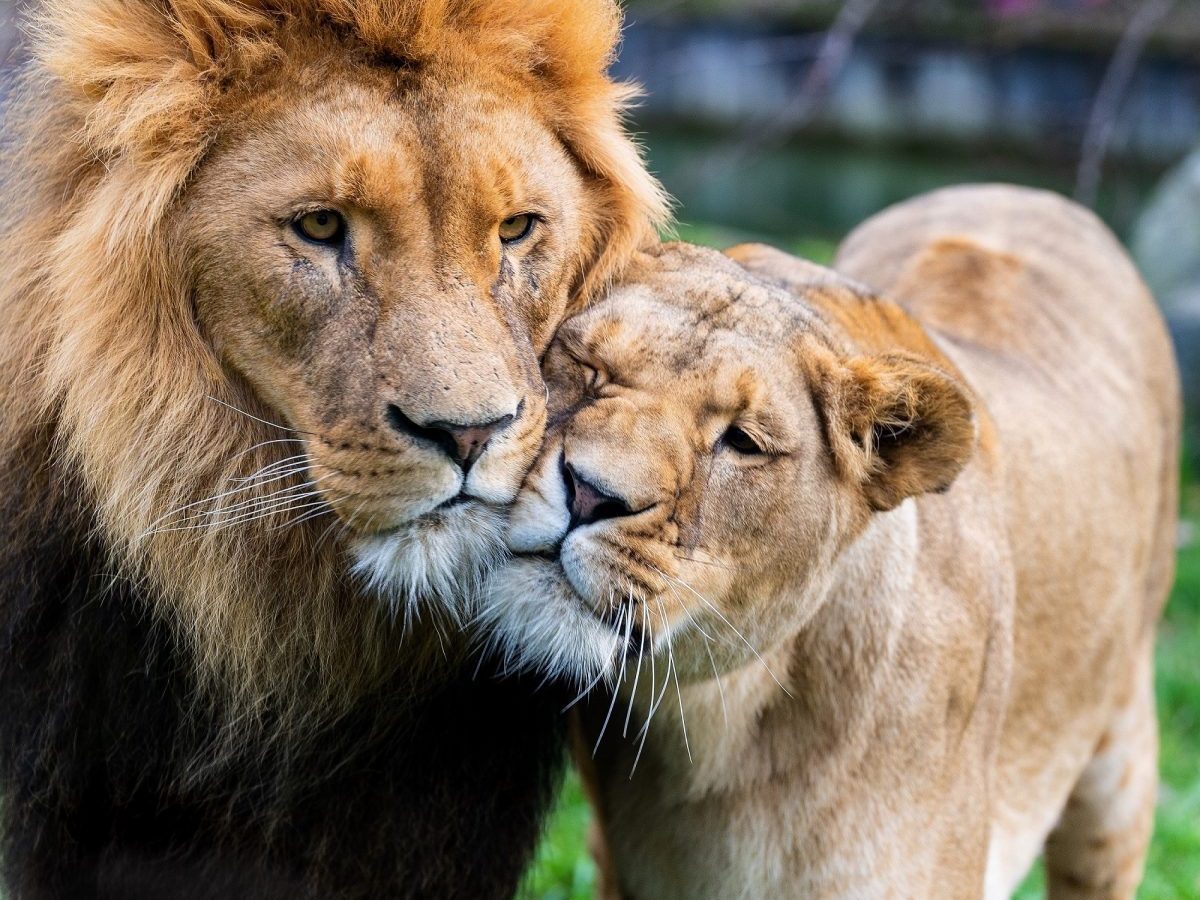Zoo Duisburg