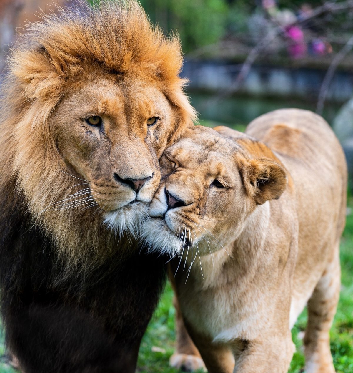 Zoo Duisburg