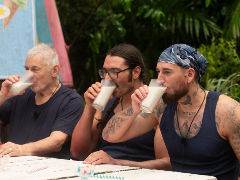 RTL Dschungelcamp