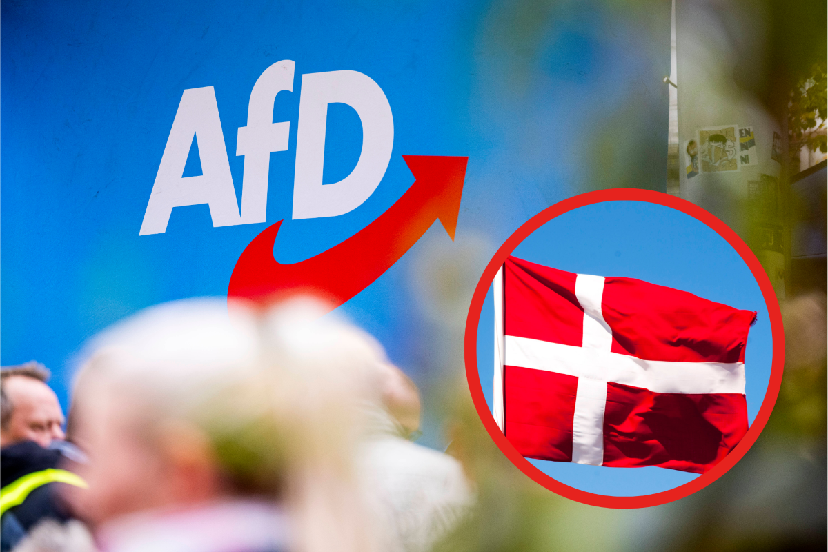 Kann das Asyl-Modell aus DÃ¤nemark die AfD stoppen?