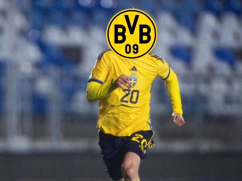 Borussia Dortmund BVB Bergvall