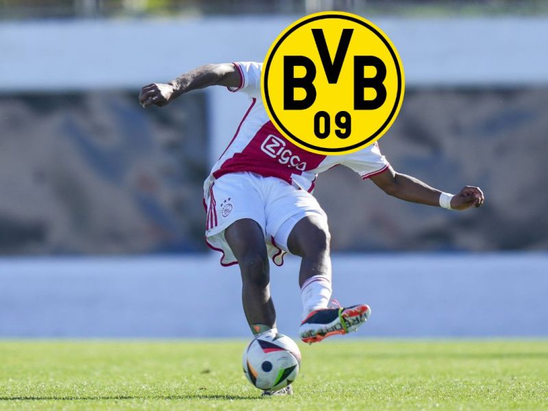 Borussia Dortmund Hato BVB