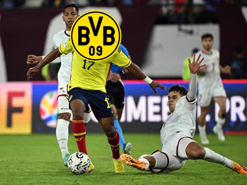 Borussia Dortmund Perea