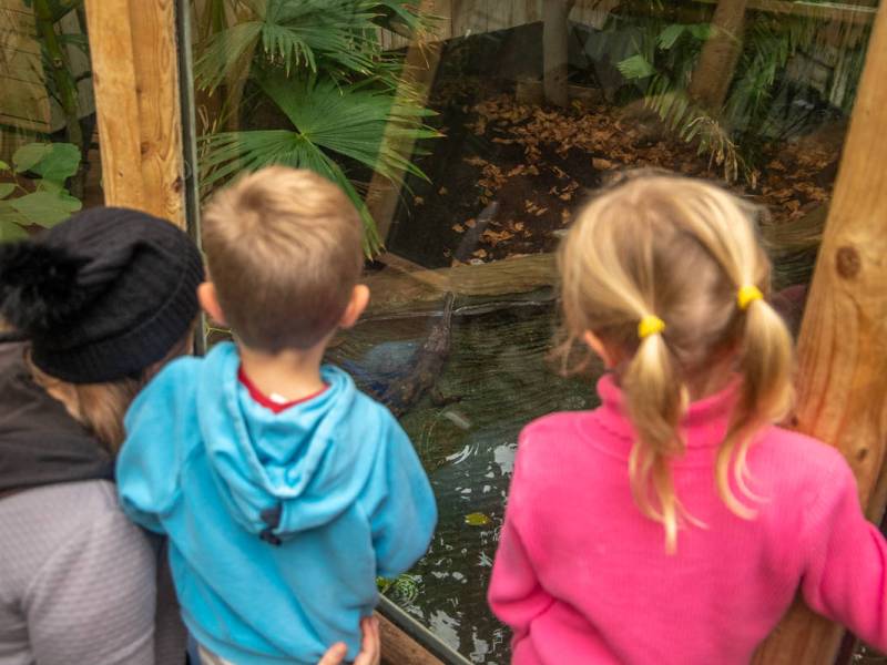 Die familienfreundlichsten Zoos in Deutschlands im Jahr 2024