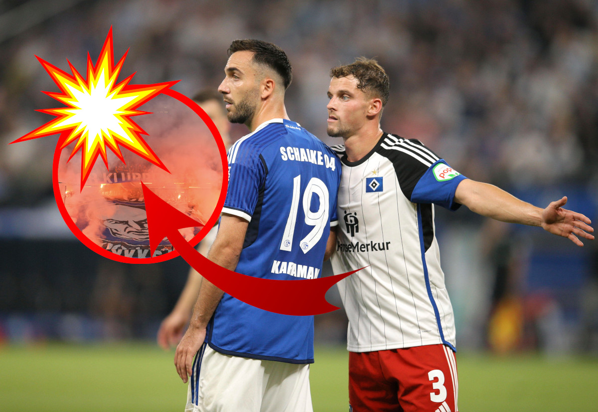 FC Schalke 04 Hamburger SV