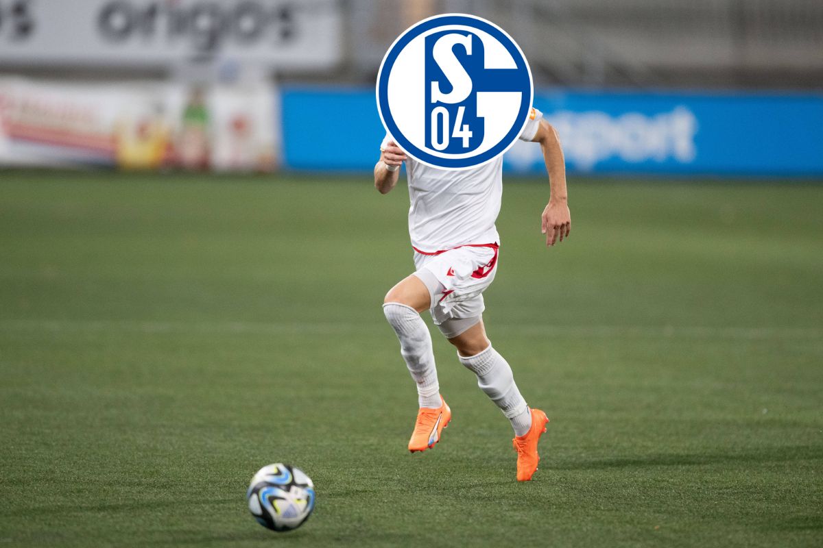 fc schalke 04 s04