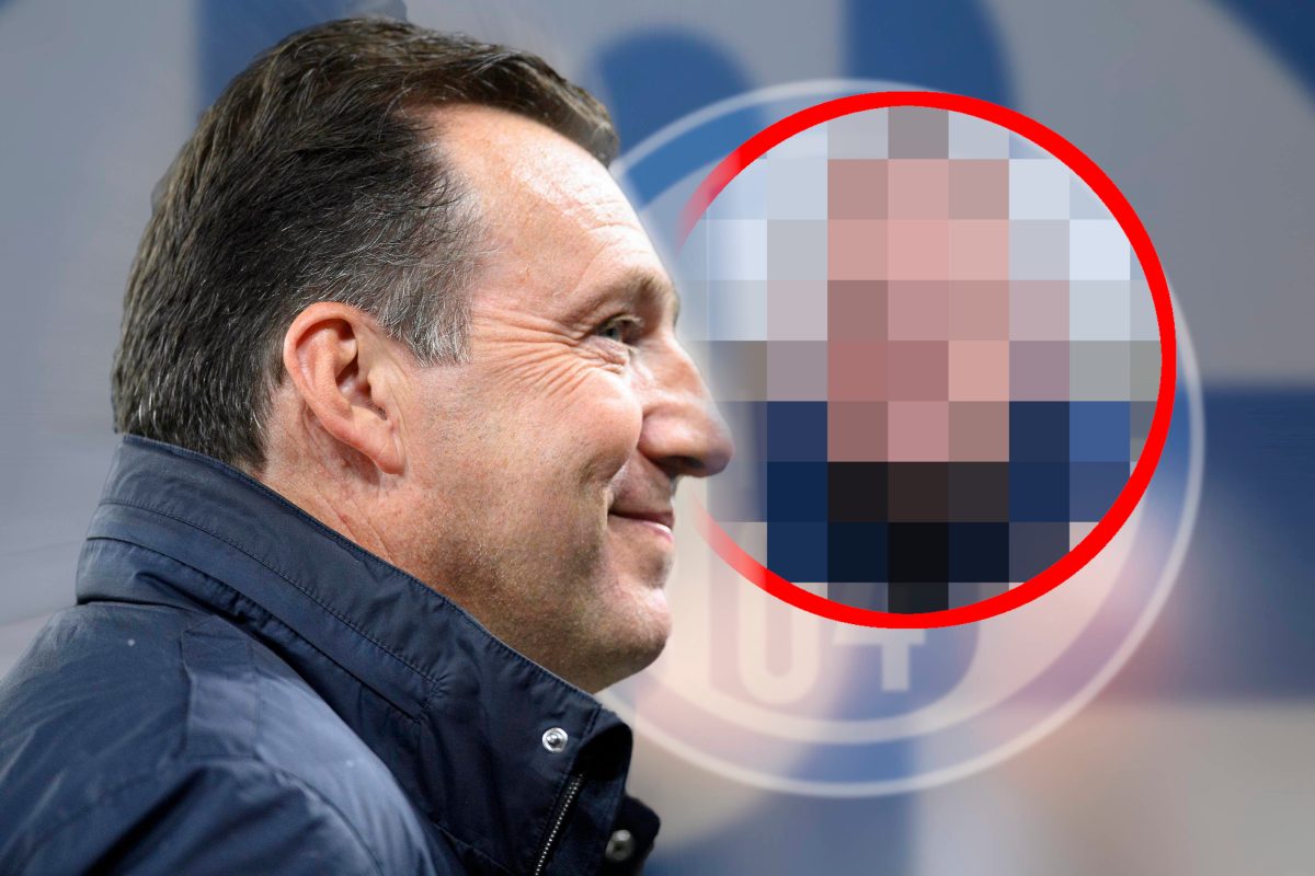 Beim FC Schalke 04 ist Marc Wilmots der neue starke Mann.