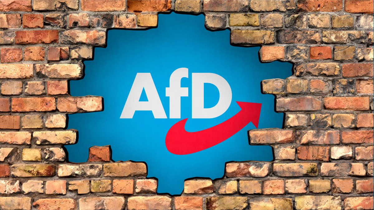 Warum wÃ¤hlen Menschen die AfD? Diese Frage stellen sich nicht nur die anderen Parteien.