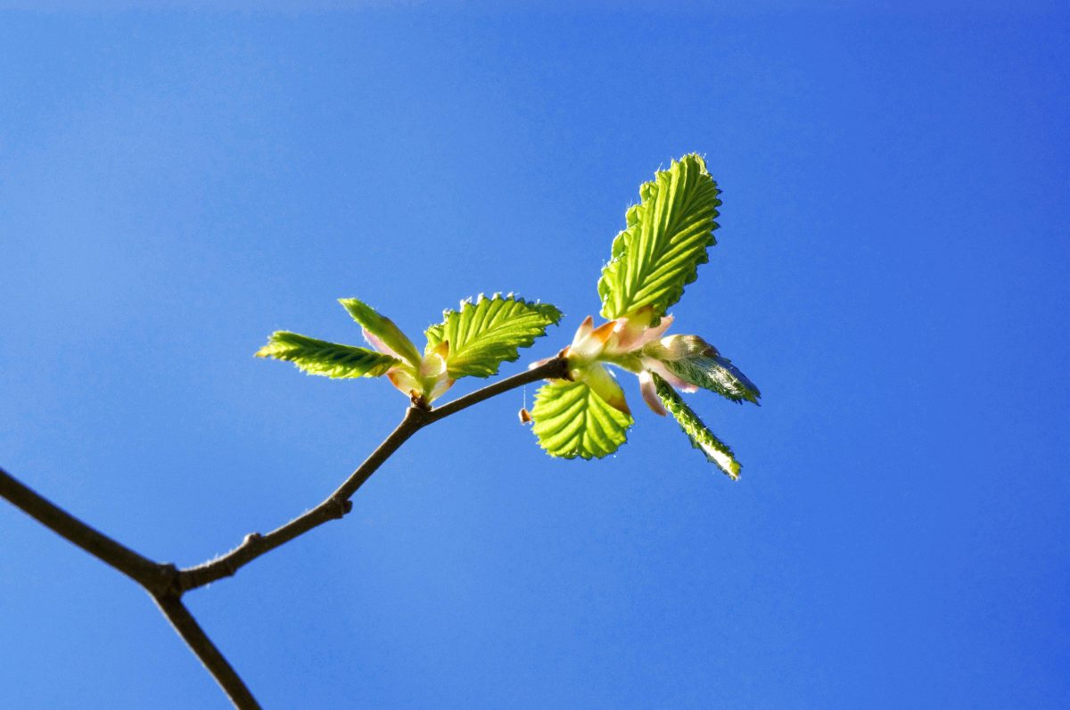 Wetter in NRW: Wintereinbruch nicht abschreiben