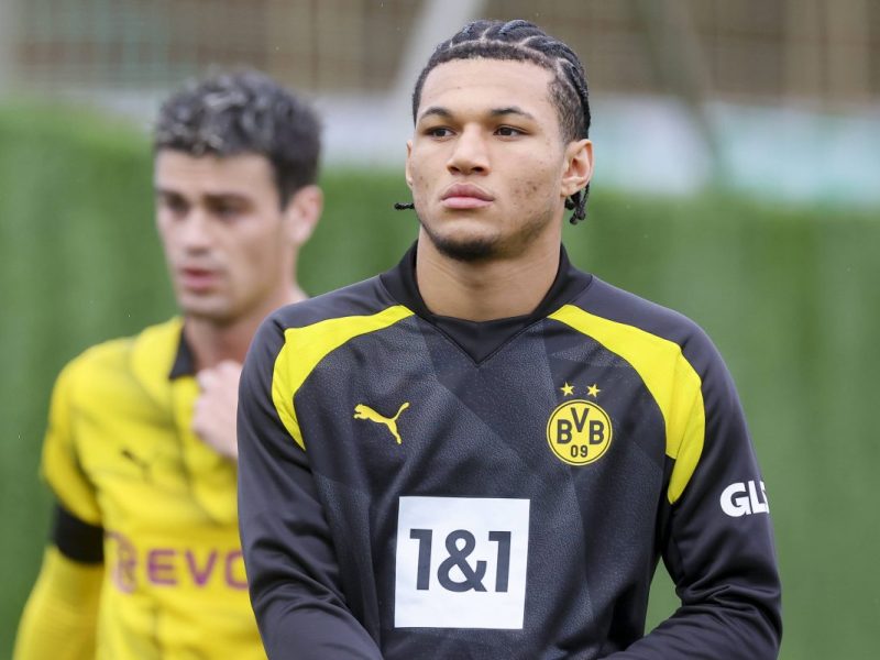 Borussia Dortmund BVB Brunner