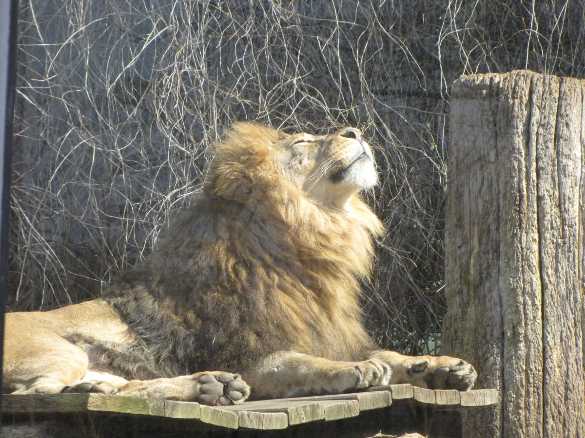 Zoo Dortmund