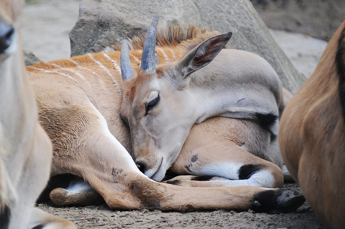 Zoo Dortmund