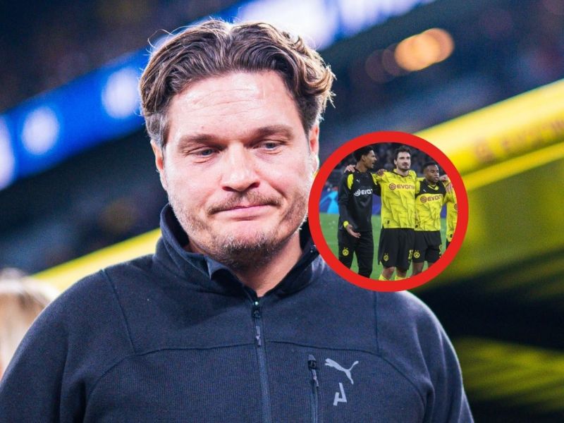 Borussia Dortmund BVB Haller