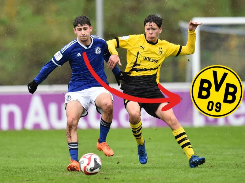 Borussia Dortmund BVB Etcibasi