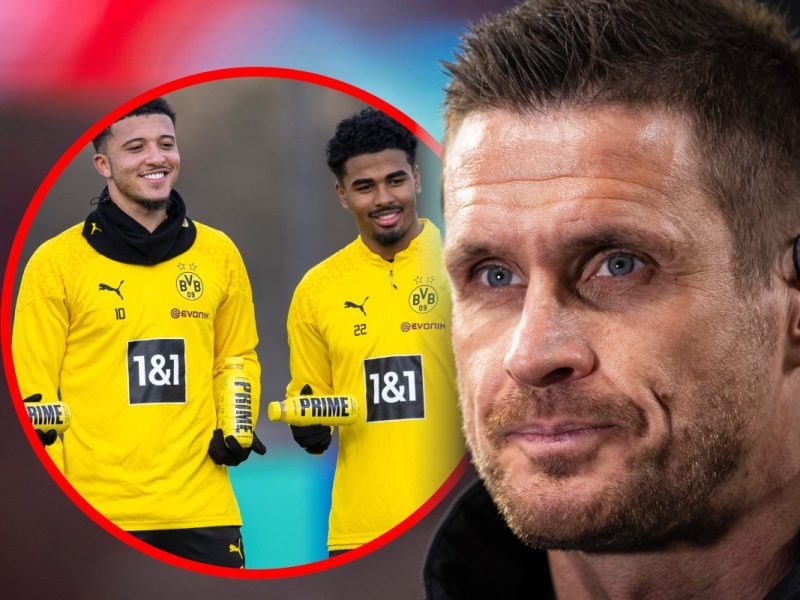 Wie schlagen sich die Zugänge bei Borussia Dortmund?