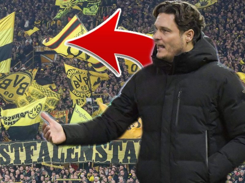 Edin Terzic wendet sich an die Fans von Borussia Dortmund.