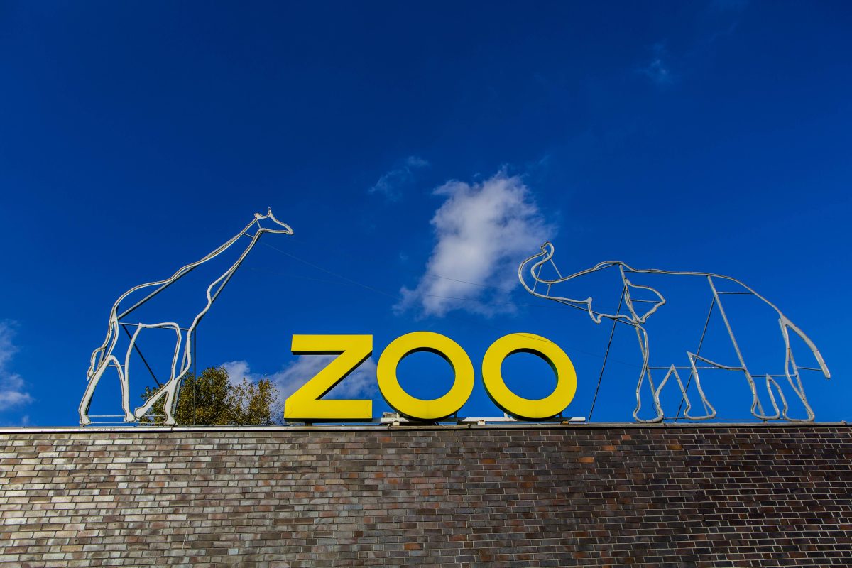 Zoo Köln