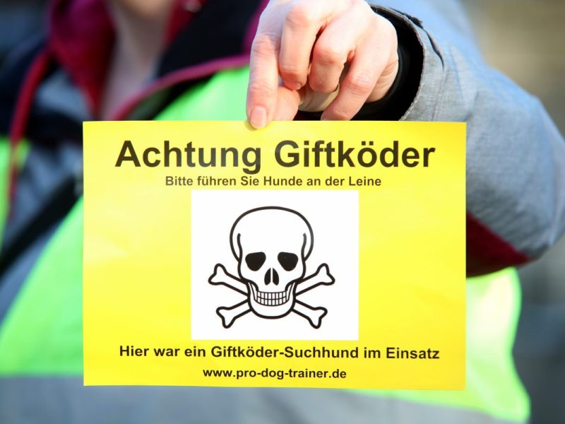 In Duisburg muss ein Hund schwer leiden. Tierarztdiagnose schockiert.