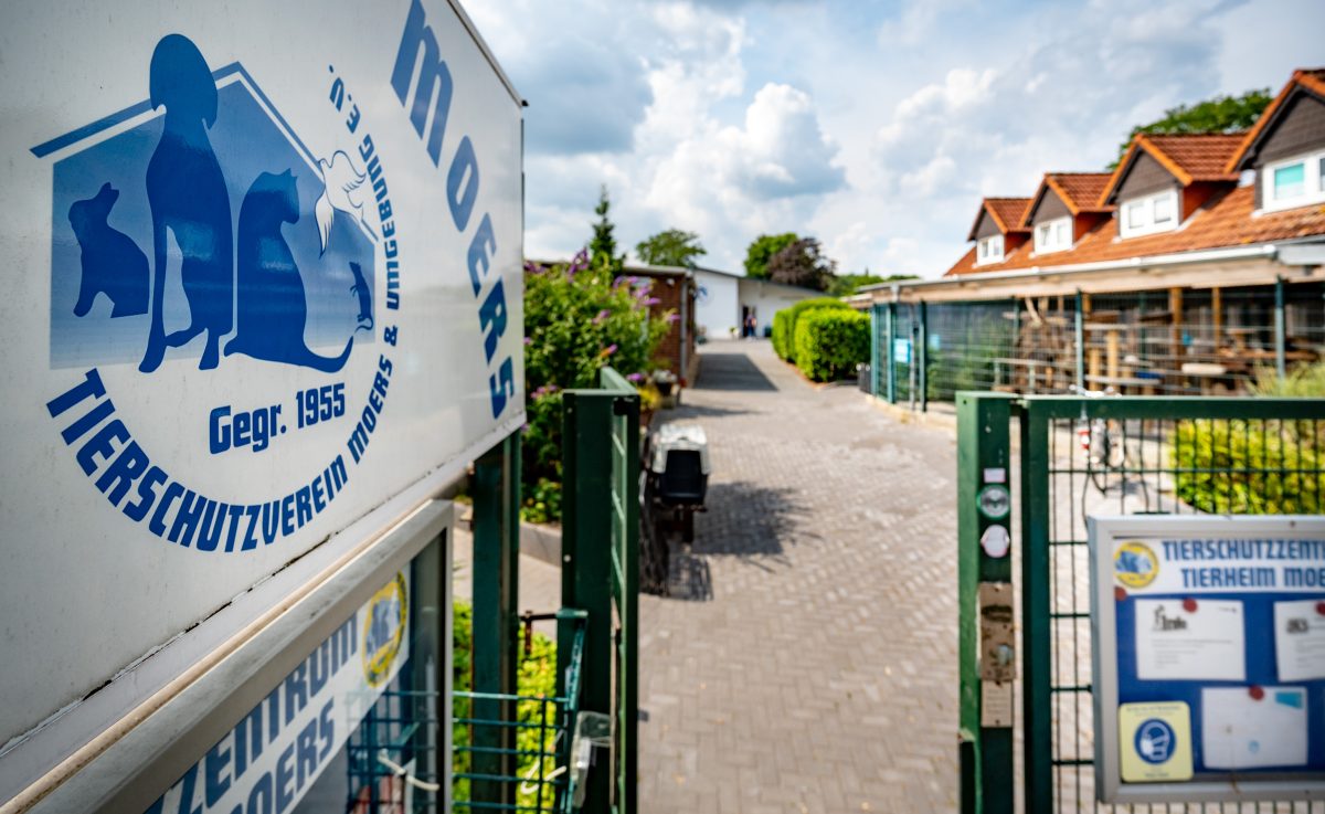 Tierheim NRW