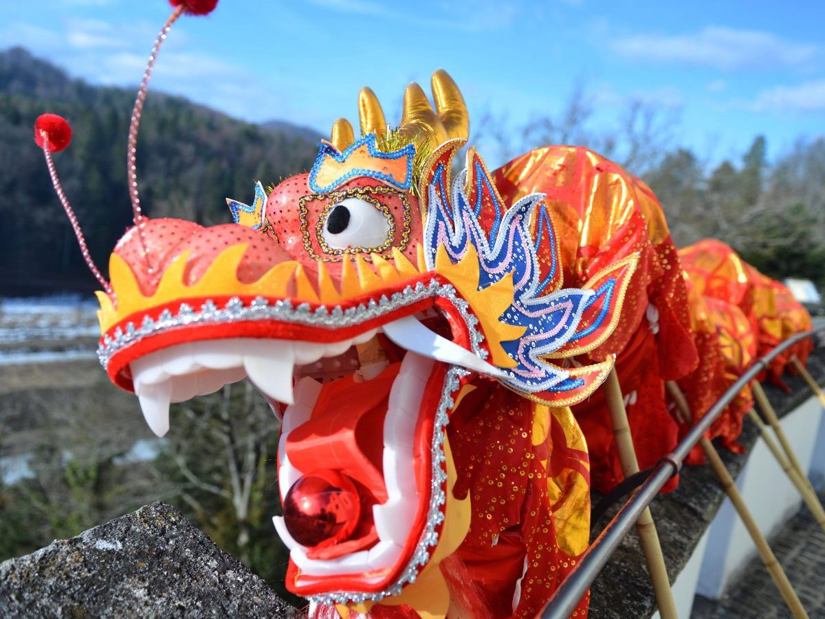 Chinesisches Horoskop Drache Schwein