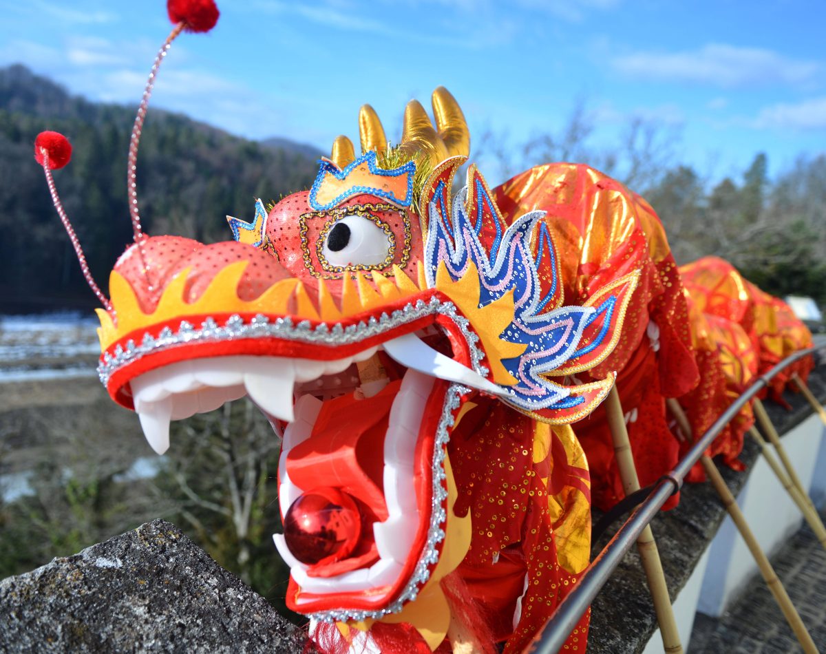 Chinesisches Horoskop Drache Schwein