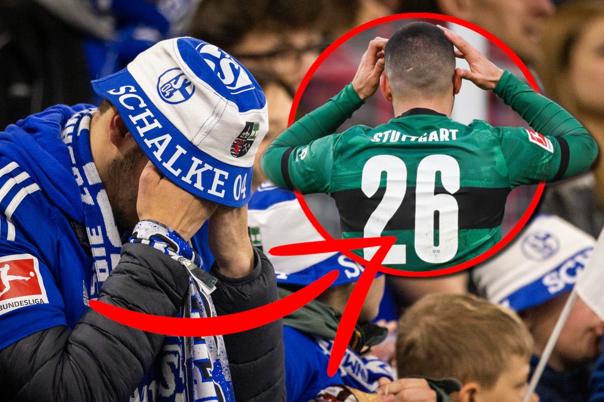 Ihn bekam der FC Schalke 04 nicht.